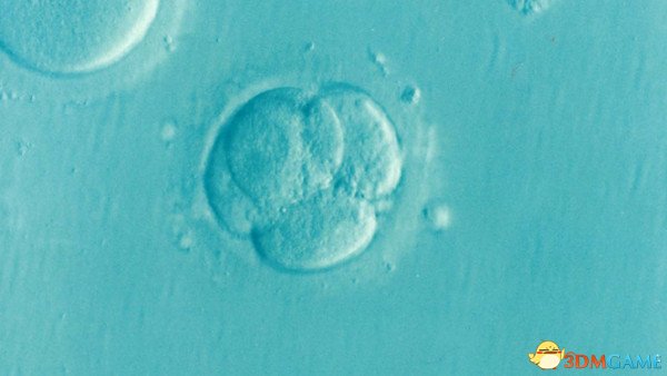未来科技：科学家首次成功从人类胚胎中移除基因